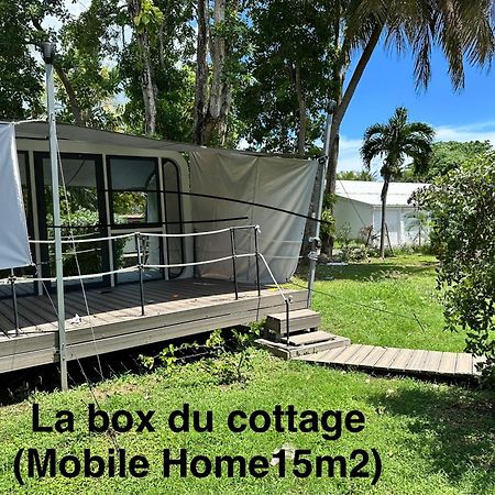 Le Cottage De Castaing Sur Plage Privee Sainte-Anne  Eksteriør bilde