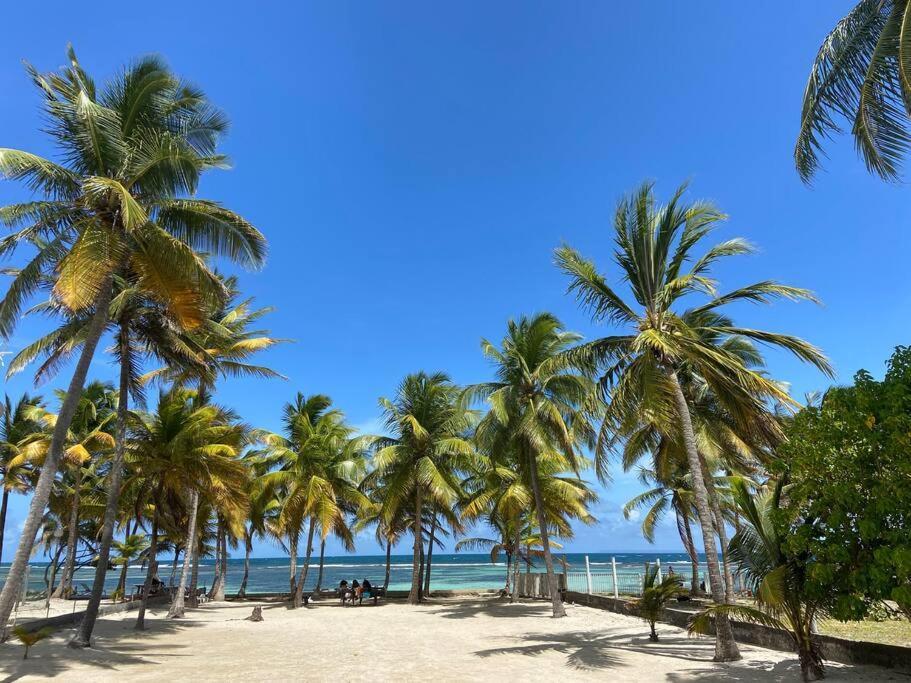Le Cottage De Castaing Sur Plage Privee Sainte-Anne  Eksteriør bilde