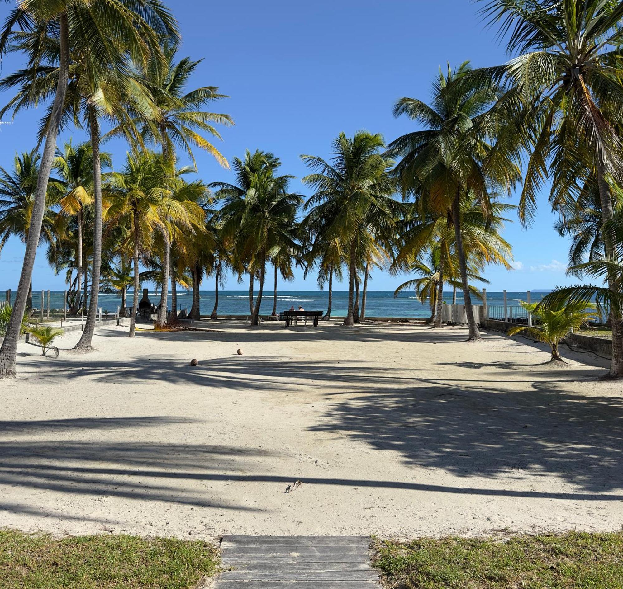 Le Cottage De Castaing Sur Plage Privee Sainte-Anne  Eksteriør bilde